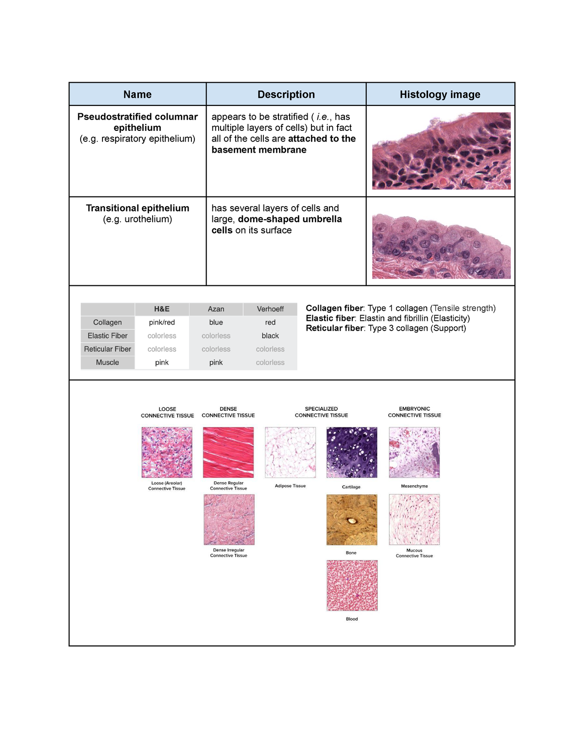 Things to remember - ANAT2241 - Name Description Histology image ...