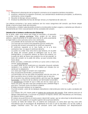 arterias del corazón y lo que irrigan