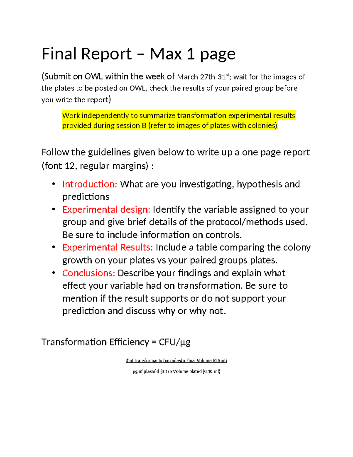 Transformation+Final+Report+2023 - Final Report – Max 1 page (Submit on ...