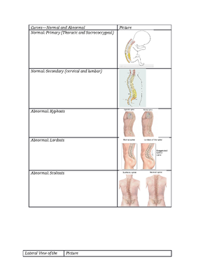 Muscles lecture - muscle contraction - - Studocu