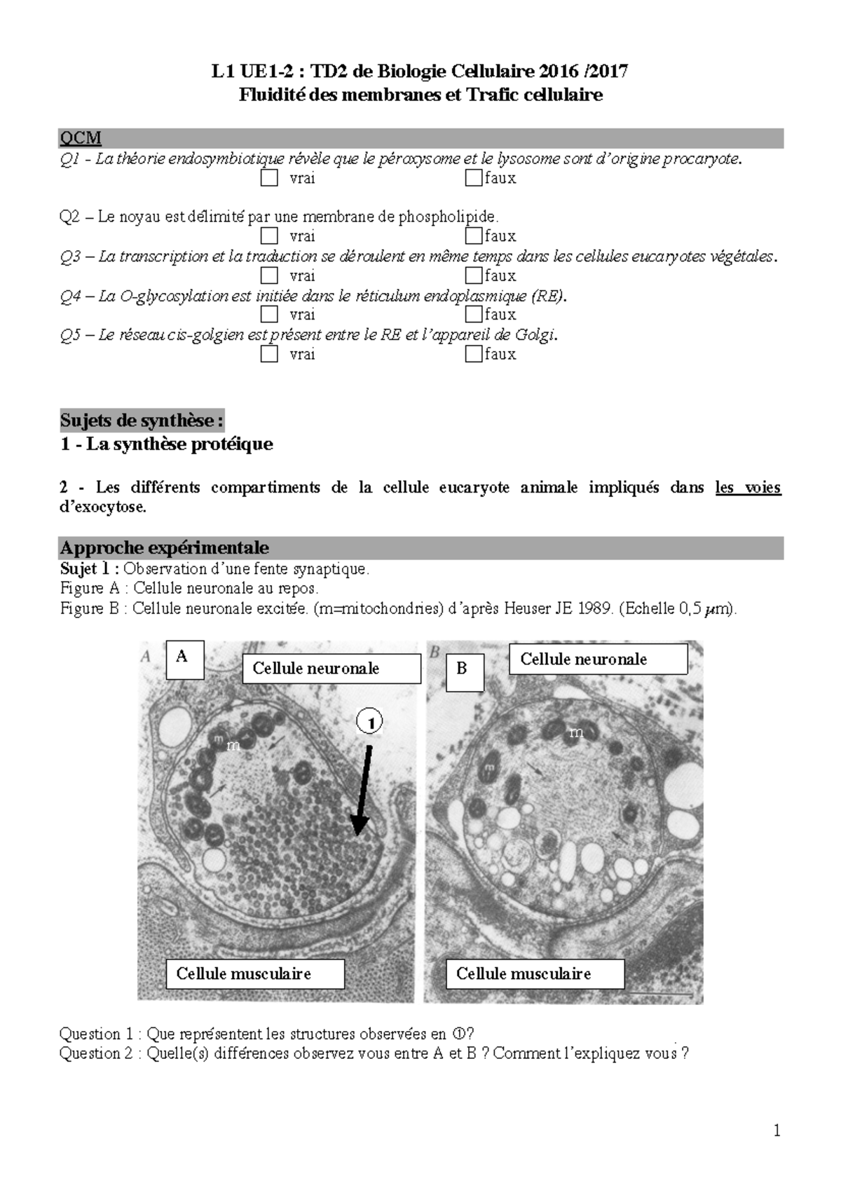 TD3 Biologie Cellulaire - L1 UE1-2 : TD2 De Biologie Cellulaire 2016 ...