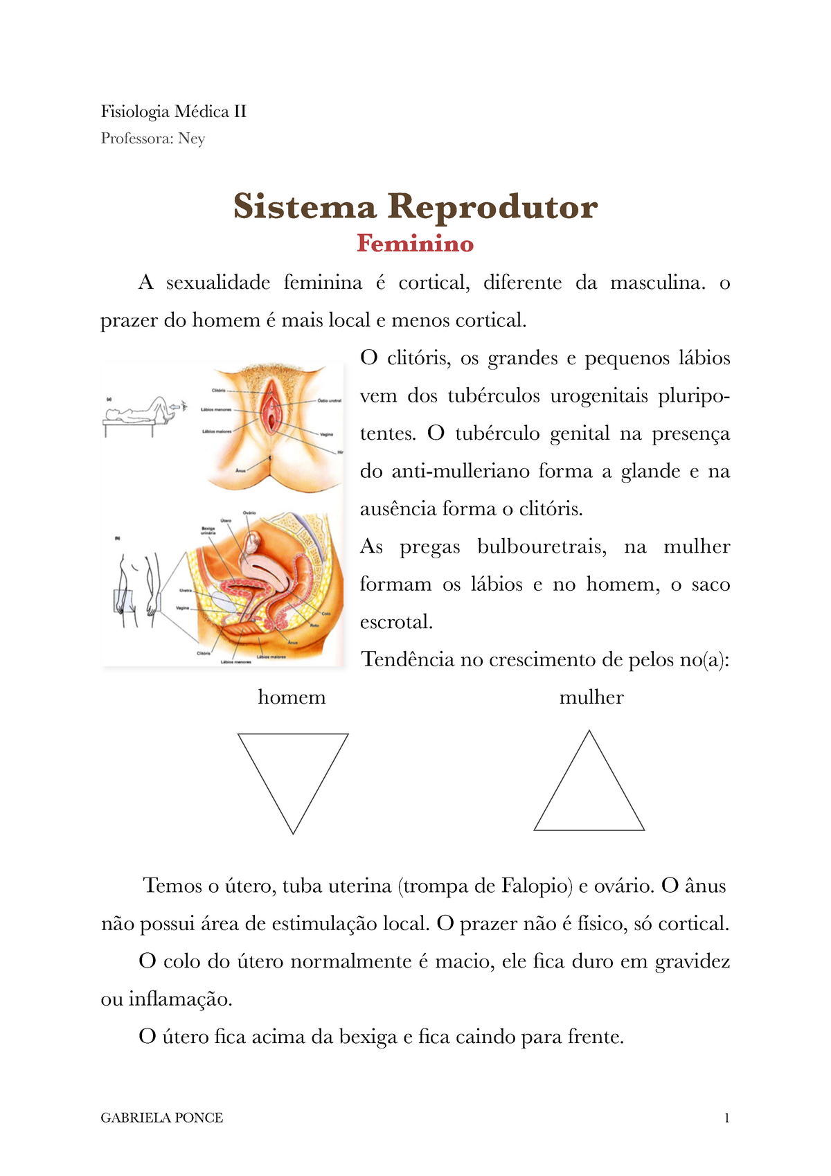 Sistema Genital Feminino Fisiologia Médica Ii Professora Ney Sistema
