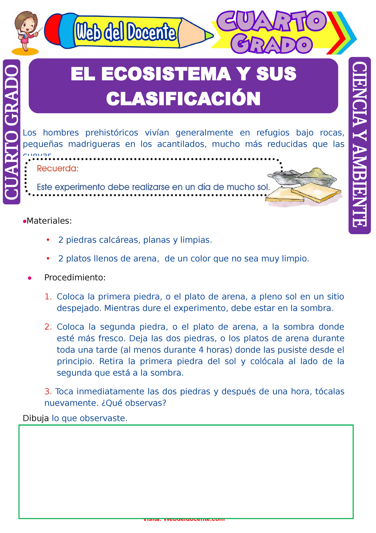 El Ecosistema Y Sus Clasificación Para Cuarto Grado De Primaria - Los ...