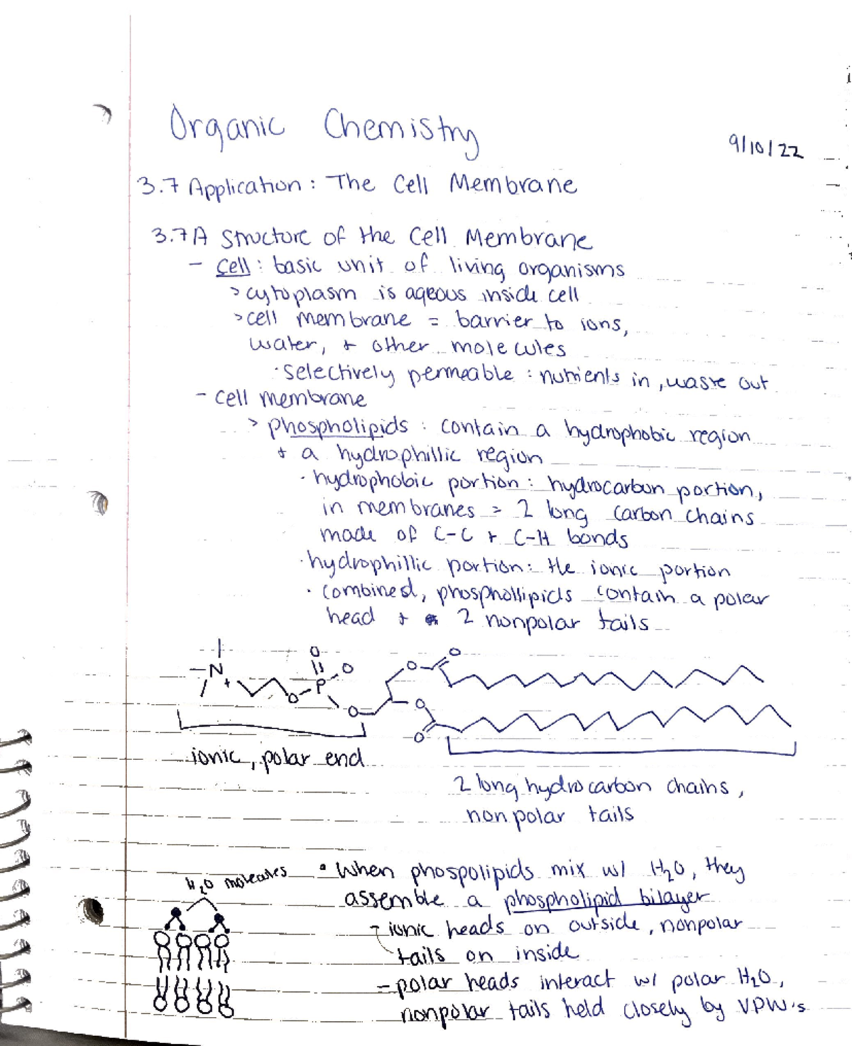 Organic Chemistry - CHEM 3404 - Studocu