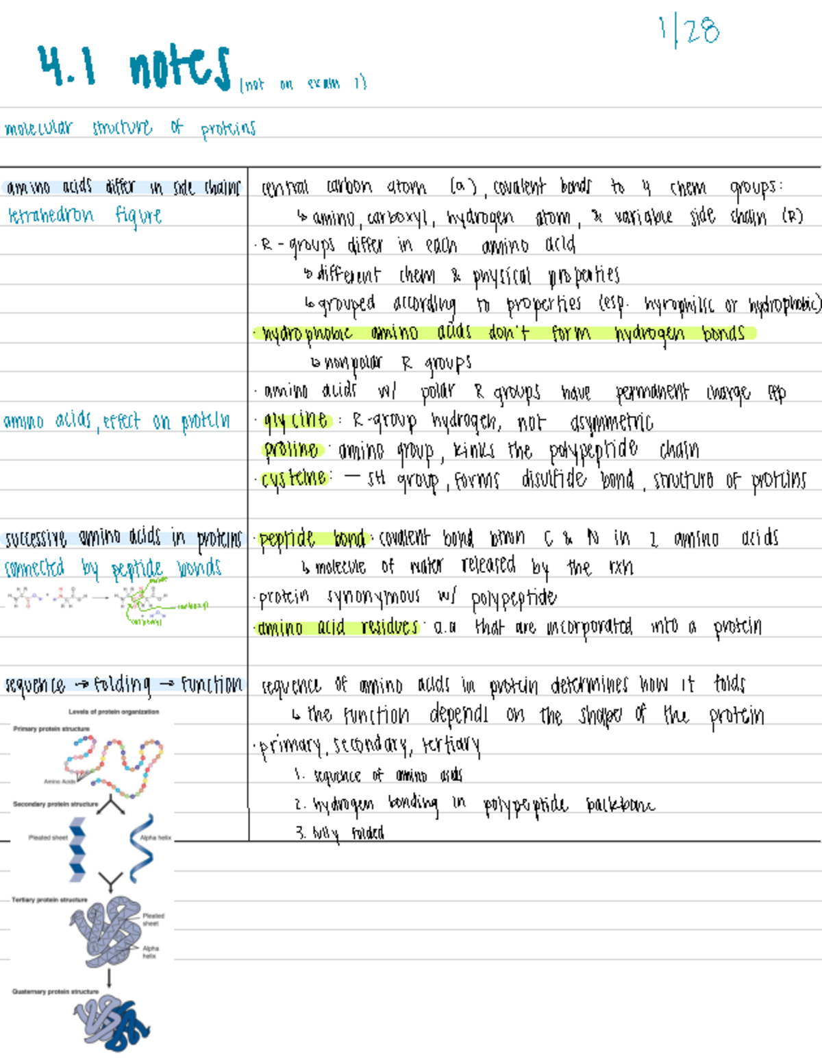 Ch 4 - TEXTBOOK READING - Biology: How Life Works - 1/ 4 nOHS noton ...