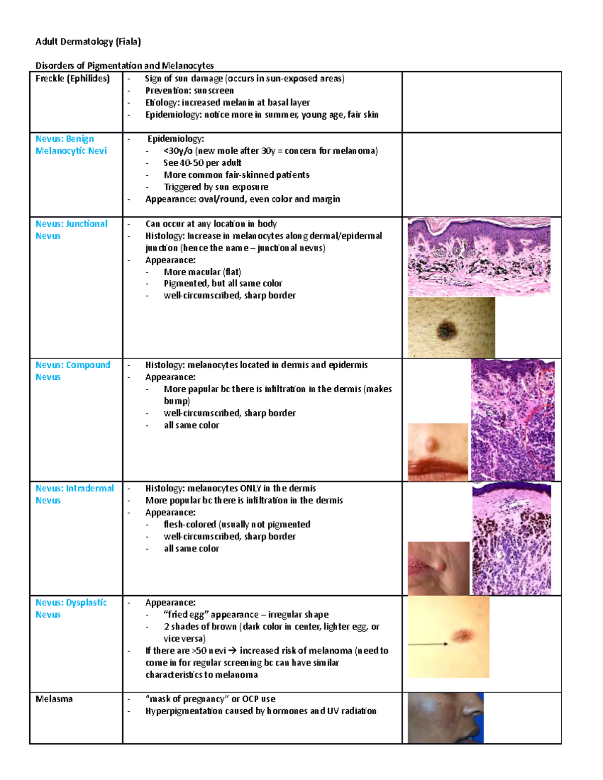 5. Adult Dermatology (Fiala) - Adult Dermatology (Fiala) Disorders of ...