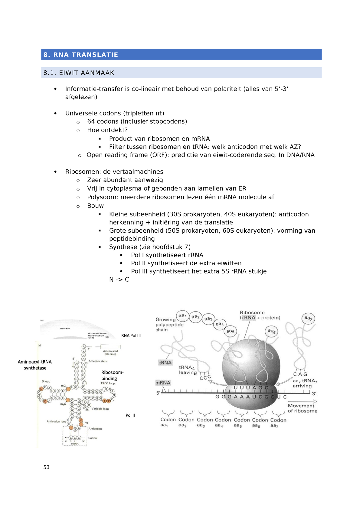 CEL IV Hfdstk 8 - Samenvatting Cel IV : Moleculaire Biologie En ...