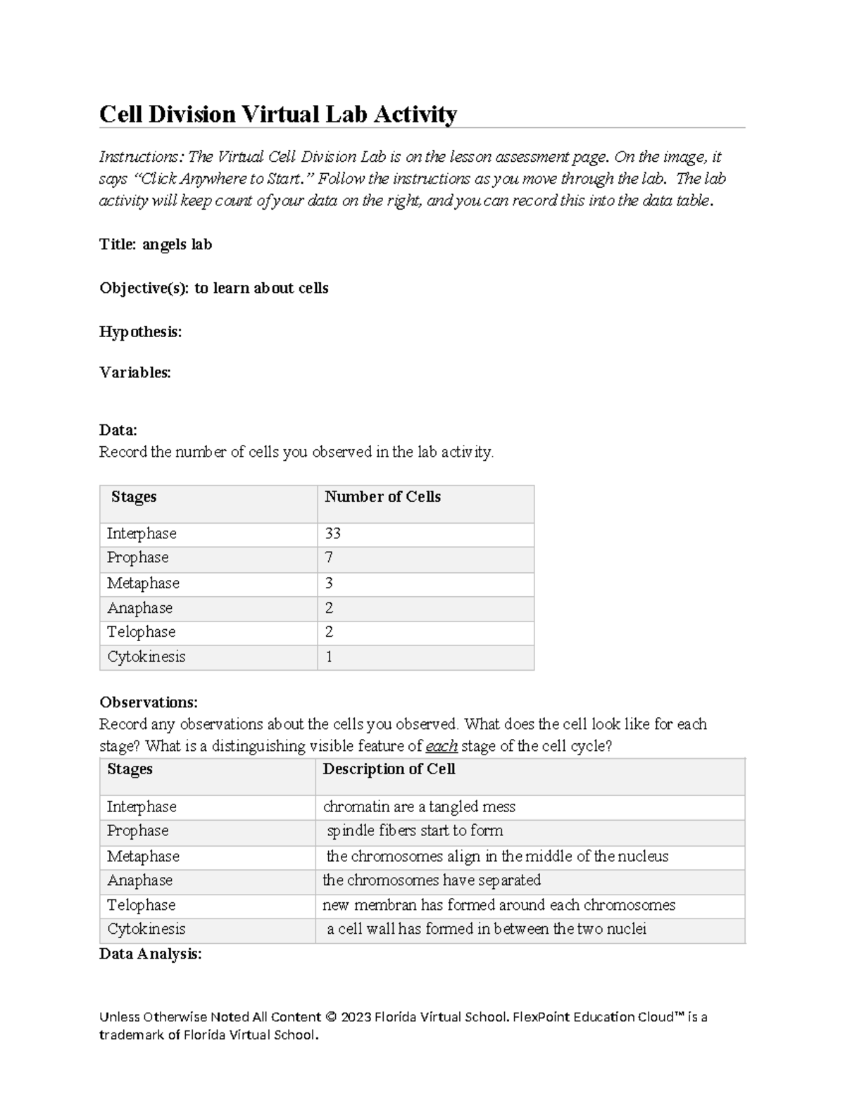 03 01 virtual cell division lab report Cell Division Virtual Lab
