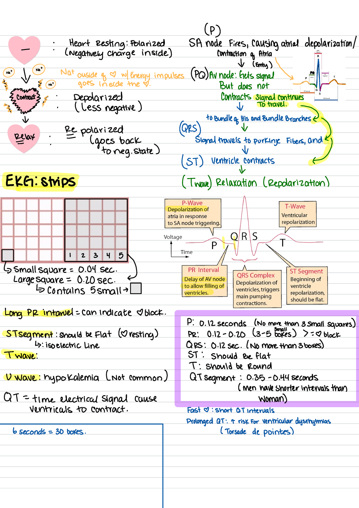 EKG notes medsurg 2 - (P) Heart - Resting:PolarizedSAnode Fires ...