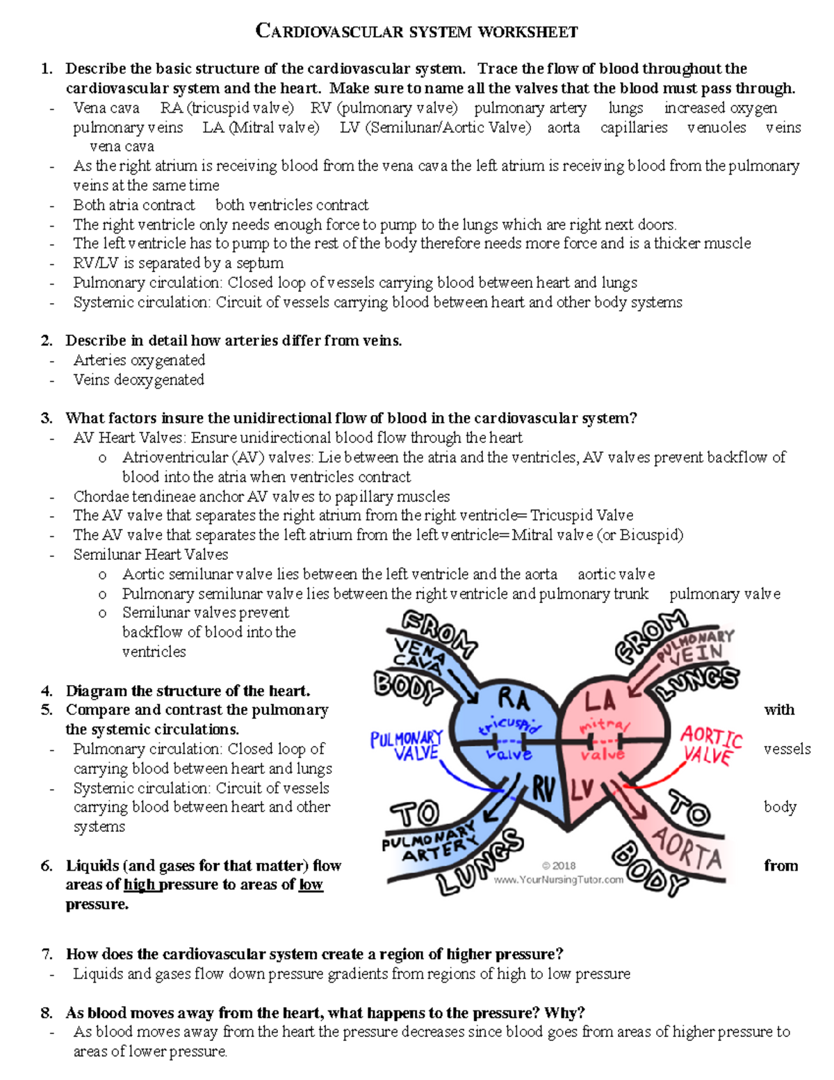 Cardiovascular worksheet - PAS 517 - MCPHS University - Studocu