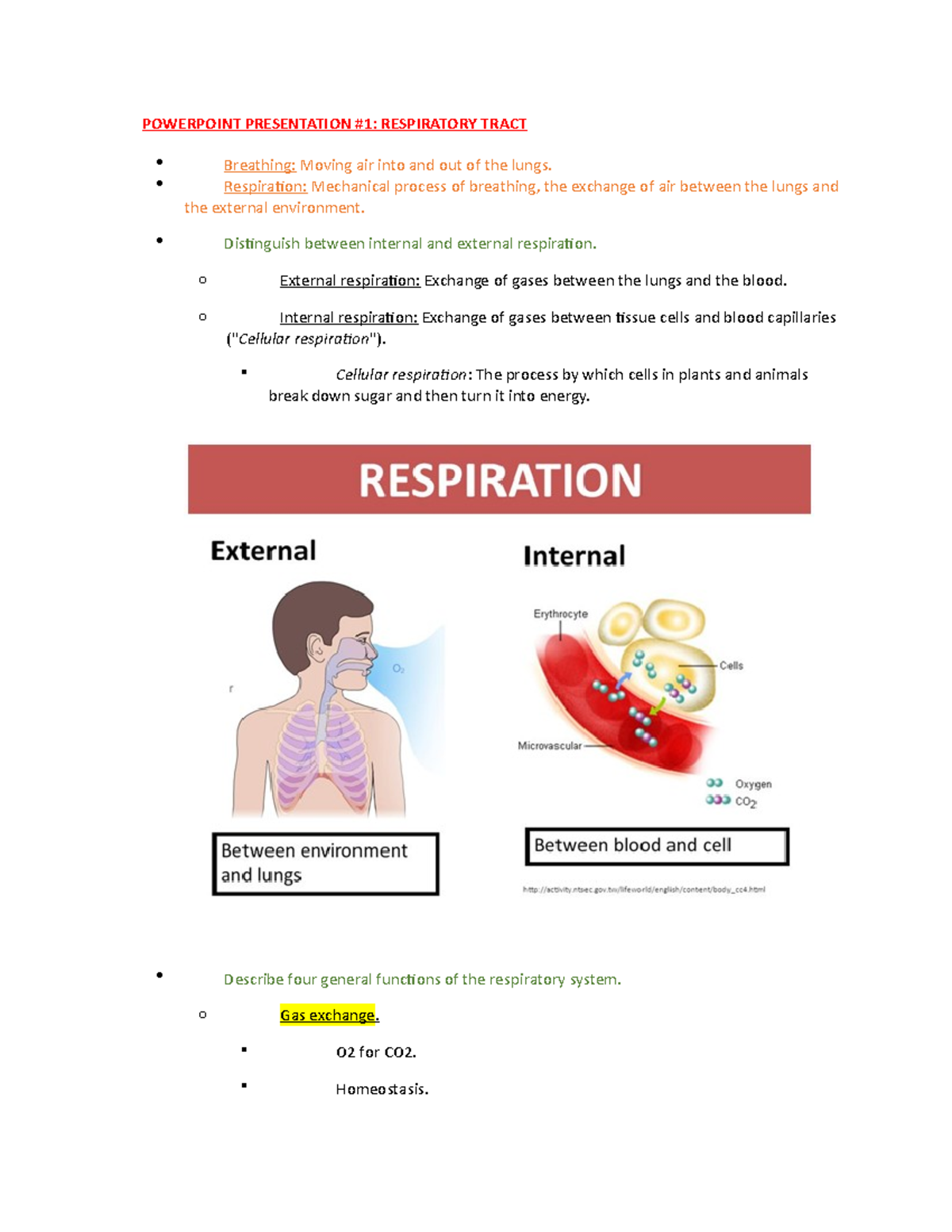 FOMS1207-Respiratory - POWERPOINT PRESENTATION #1: RESPIRATORY TRACT ...