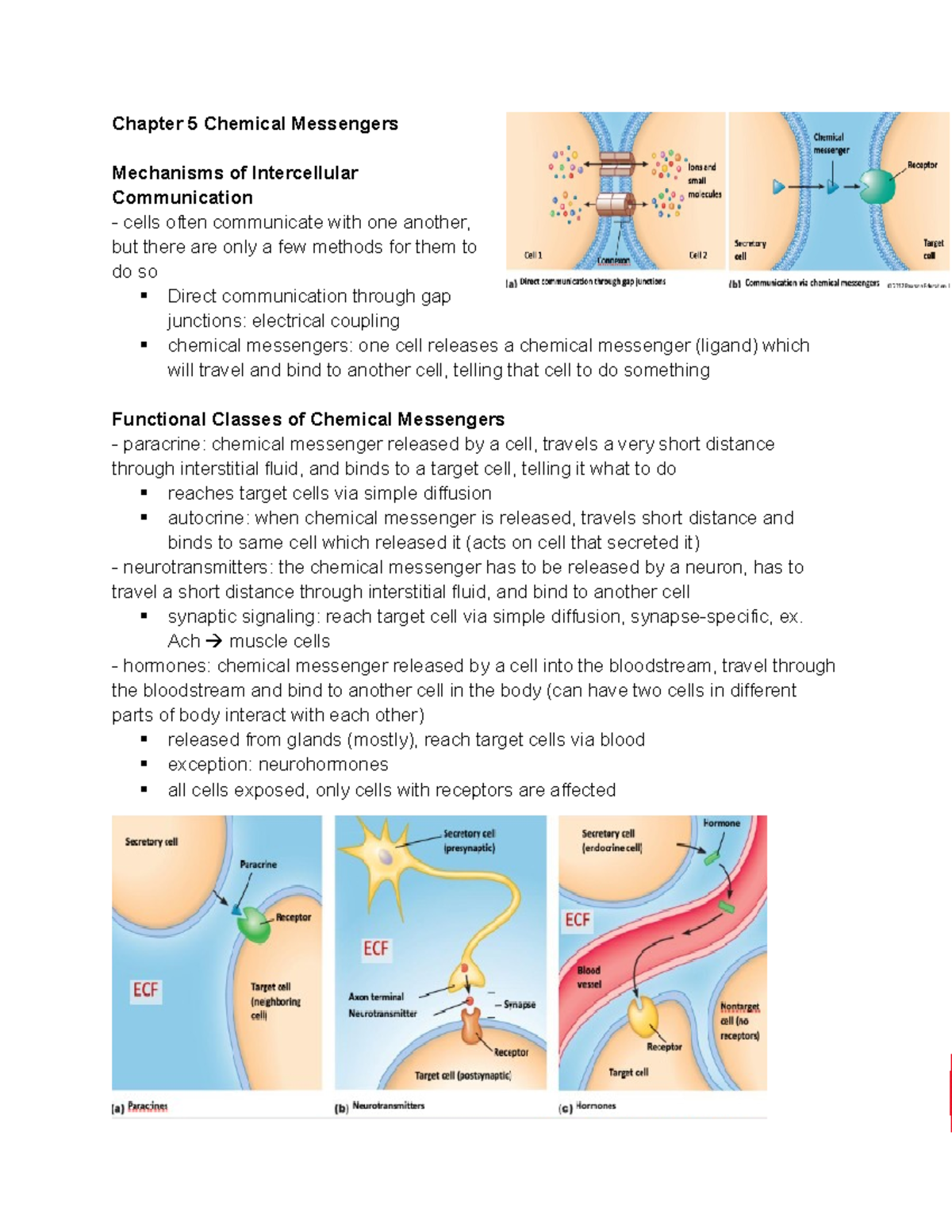 Chapter 5 Chemical Messengers Chapter 5 Chemical Messengers