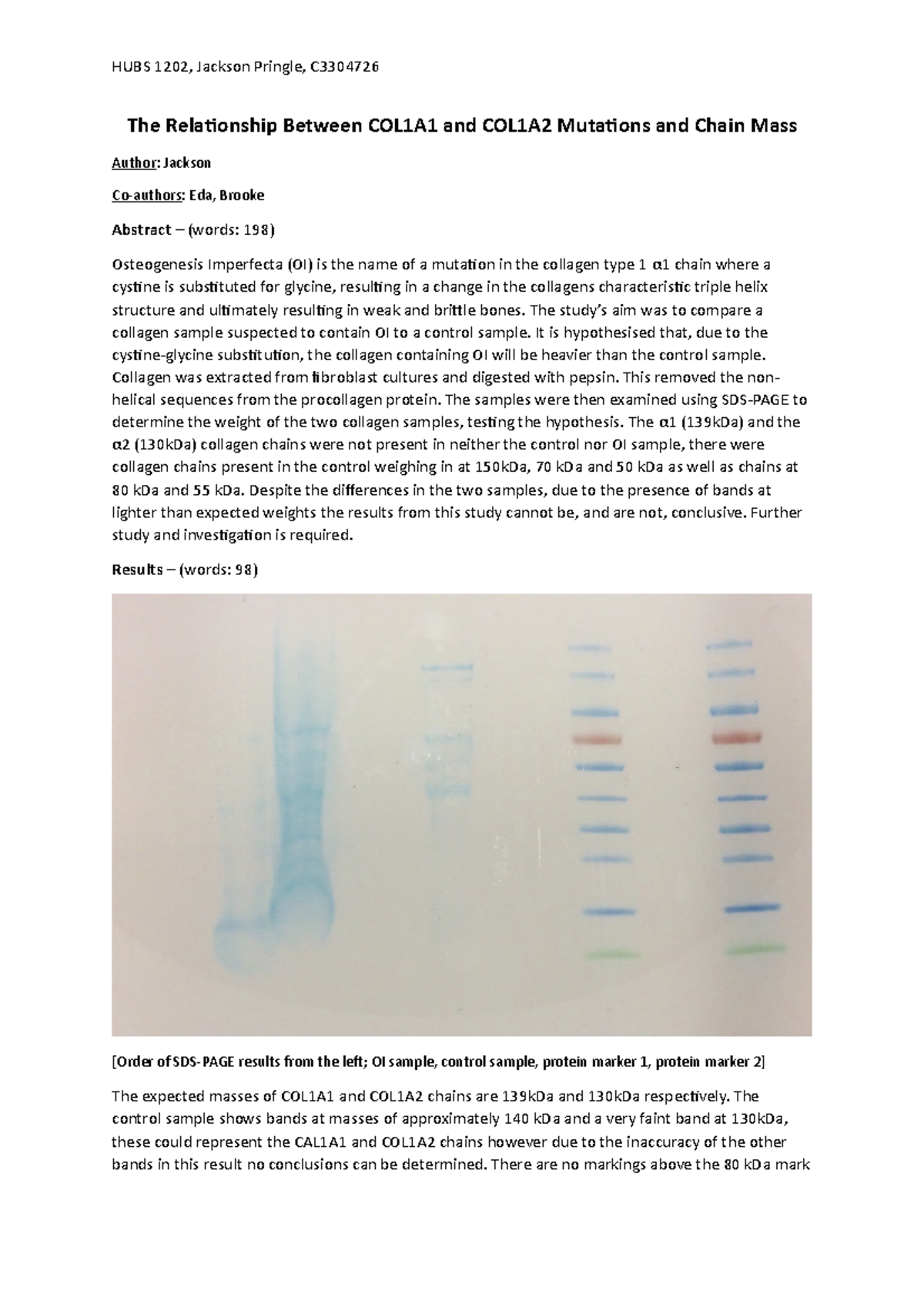 Protein Lab Report - The Relationship Between COL1A1 and COL1A2 ...