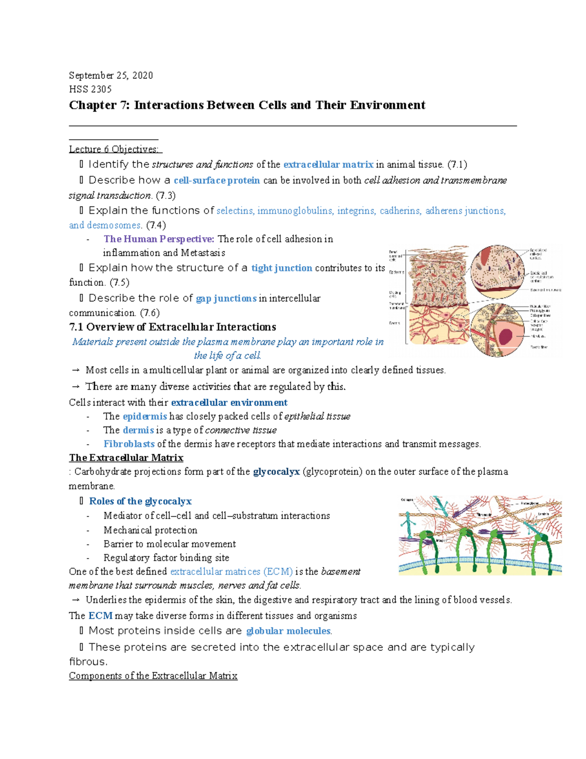 Chapter 7 Interactions Between Cells Their Environment - September 25 ...