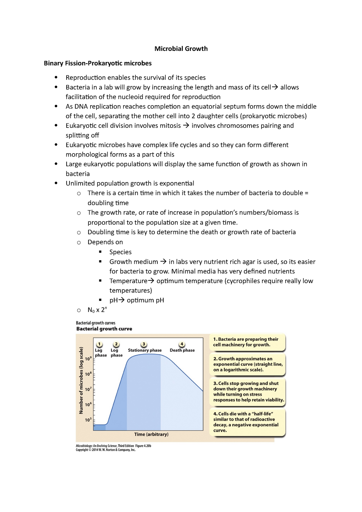 Microbial Growth - Lecture Notes 3-4 - Microbial Growth Binary Fission ...