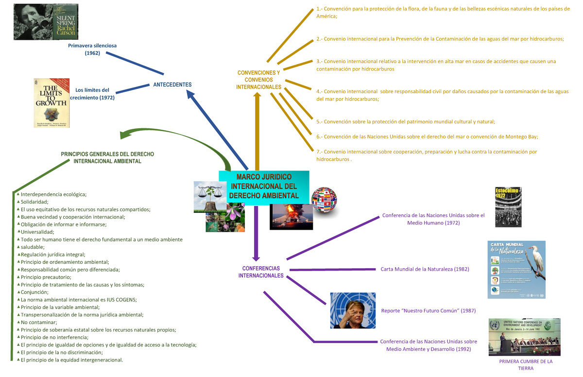 Mapa mental derecho ambiental 1 SEPTIMO SEMESTRE - Derecho - UNACH - Studocu