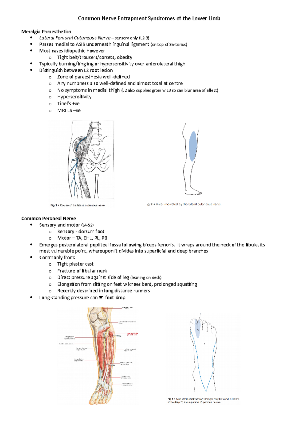 Common Nerve Entrapment Syndromes of the Lower Limb - It wraps around ...