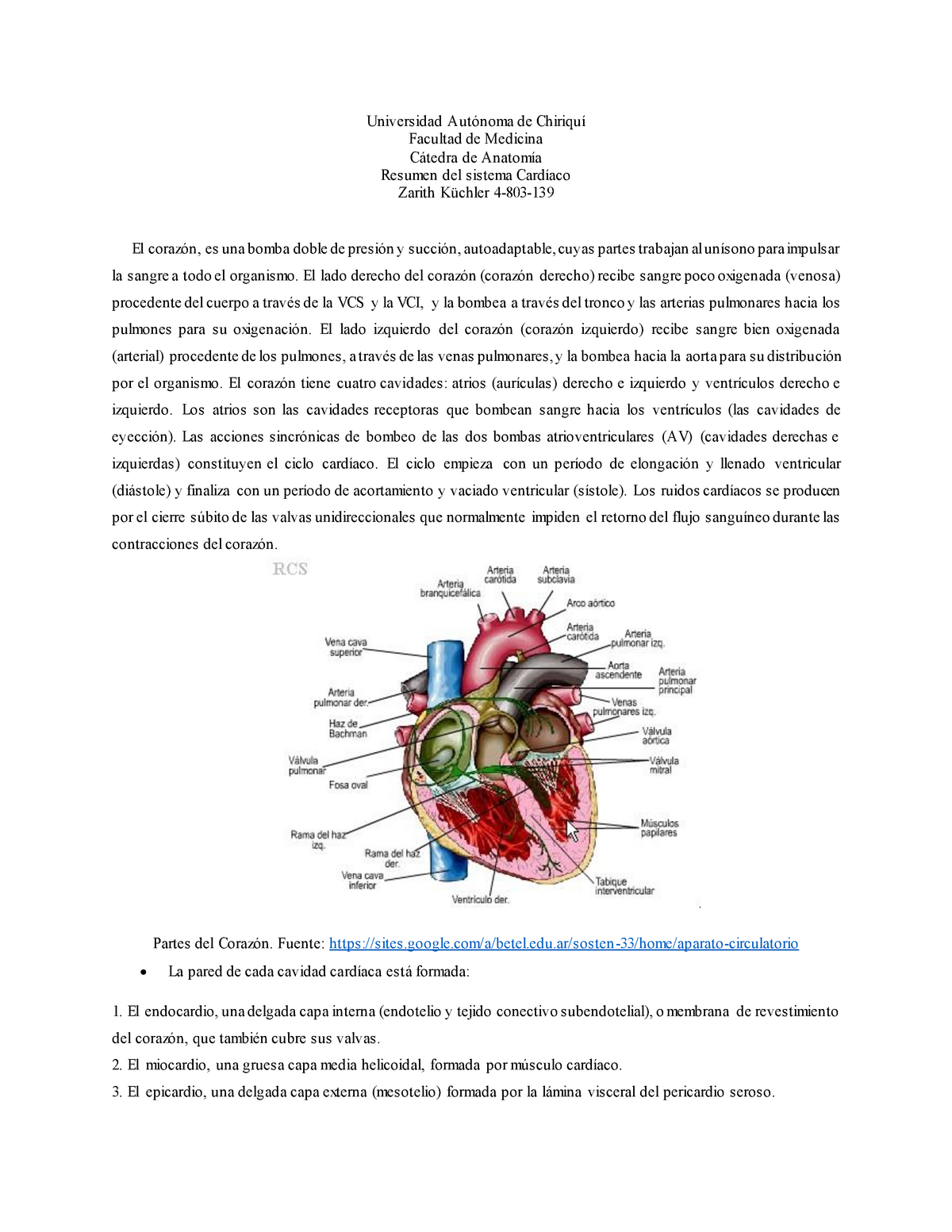 Resumen Del Sistema Cardiaco Studocu