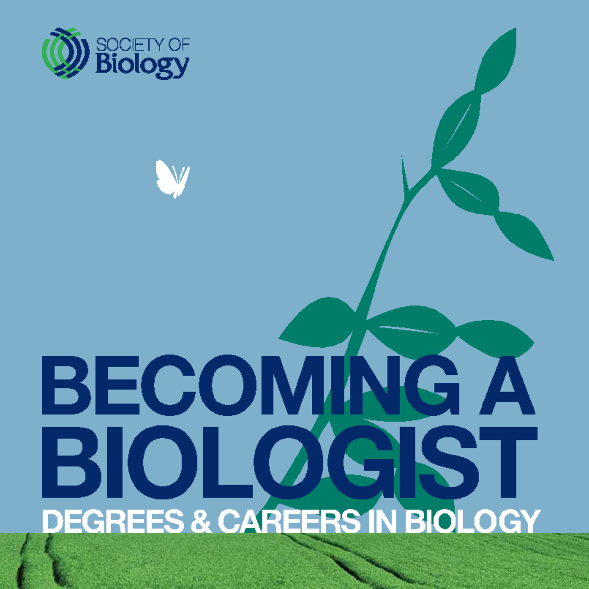a Biologist Degrees and Careers in Biology The University of