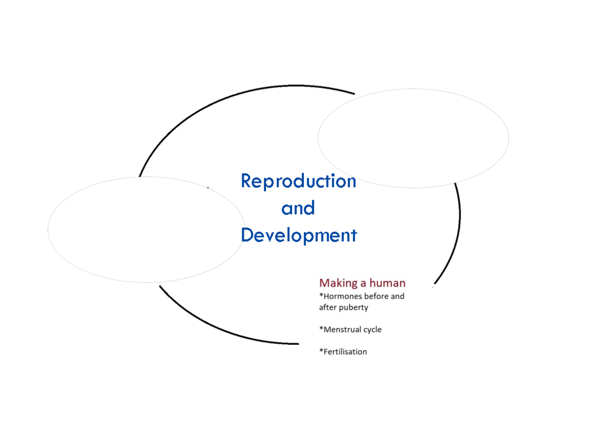 BIOL1XX8 2024 L22 Development and birth - Reproduction and Development ...