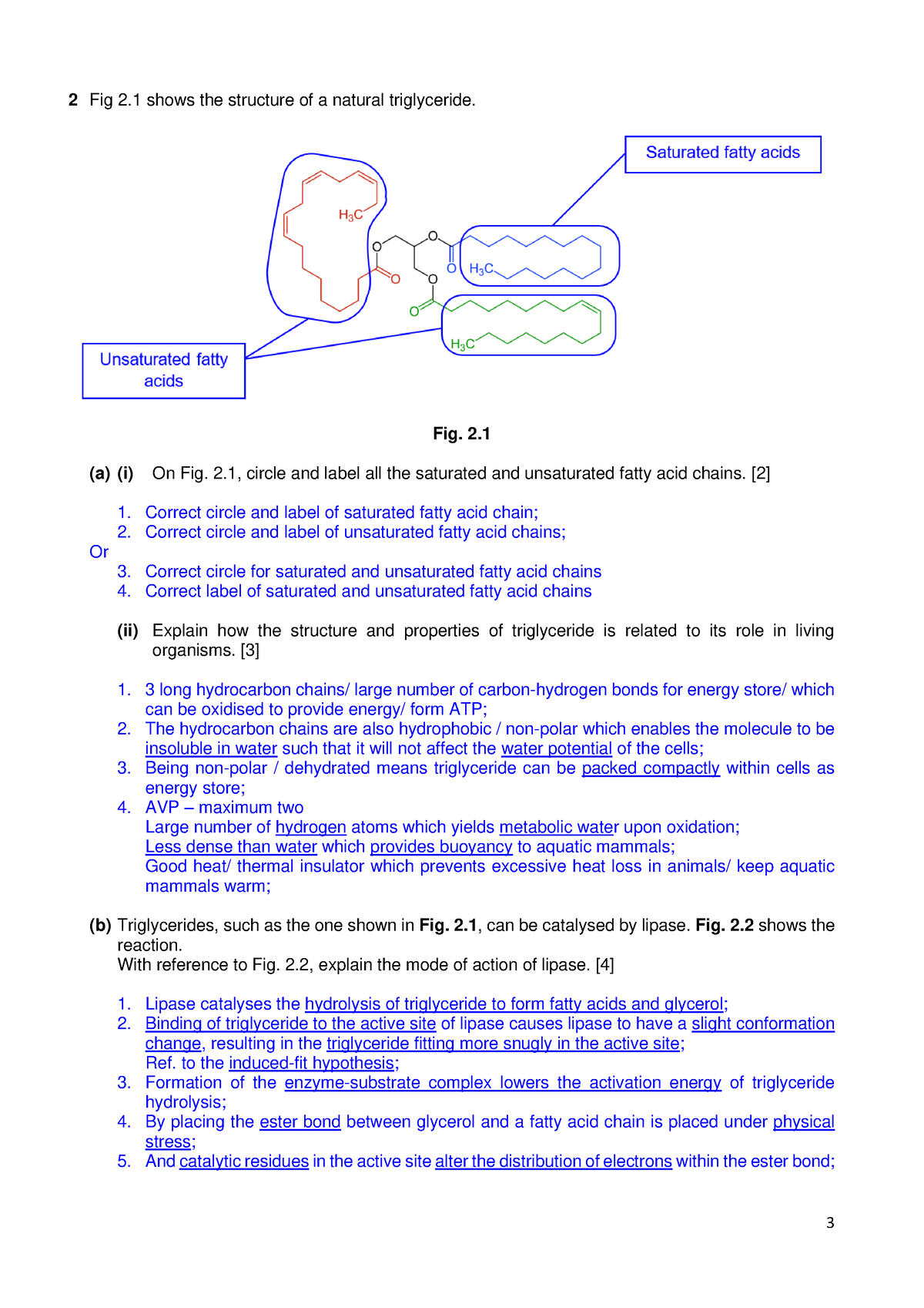 Revision Tutorial 3-2 Answers (lipids) - 3 2 Fig 2 Shows The Structure 