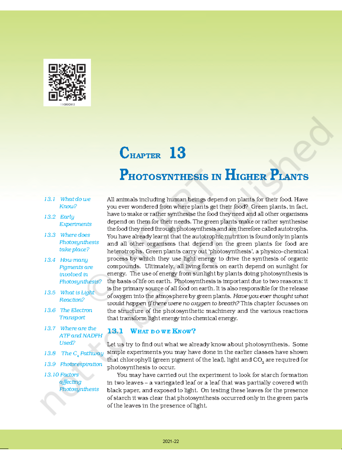 Fotosintesi ENG 206 BIOLOGY All animals including human beings depend on plants for their food