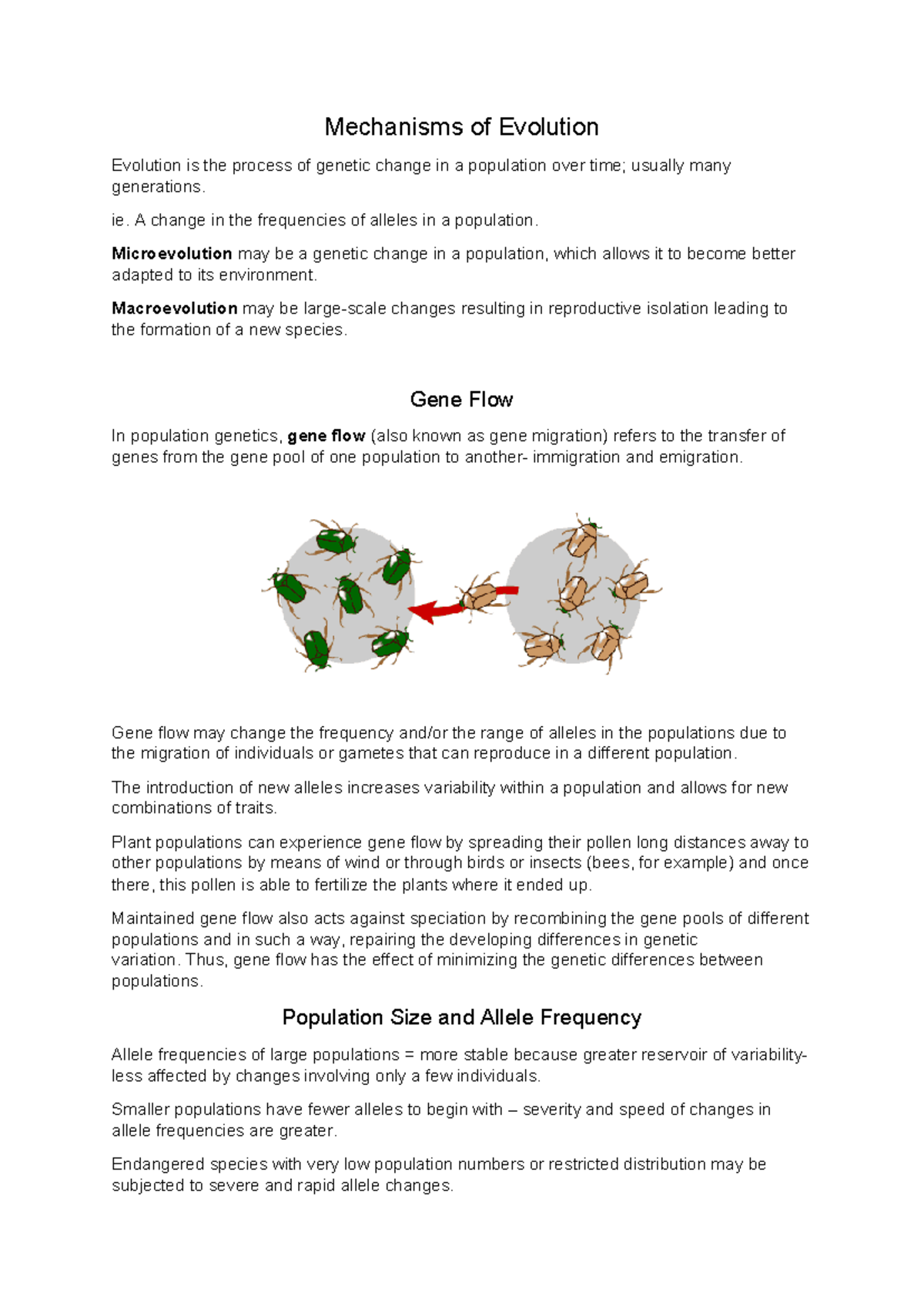 Genetic Drift and Gene Flow Notes - Mechanisms of Evolution Evolution ...
