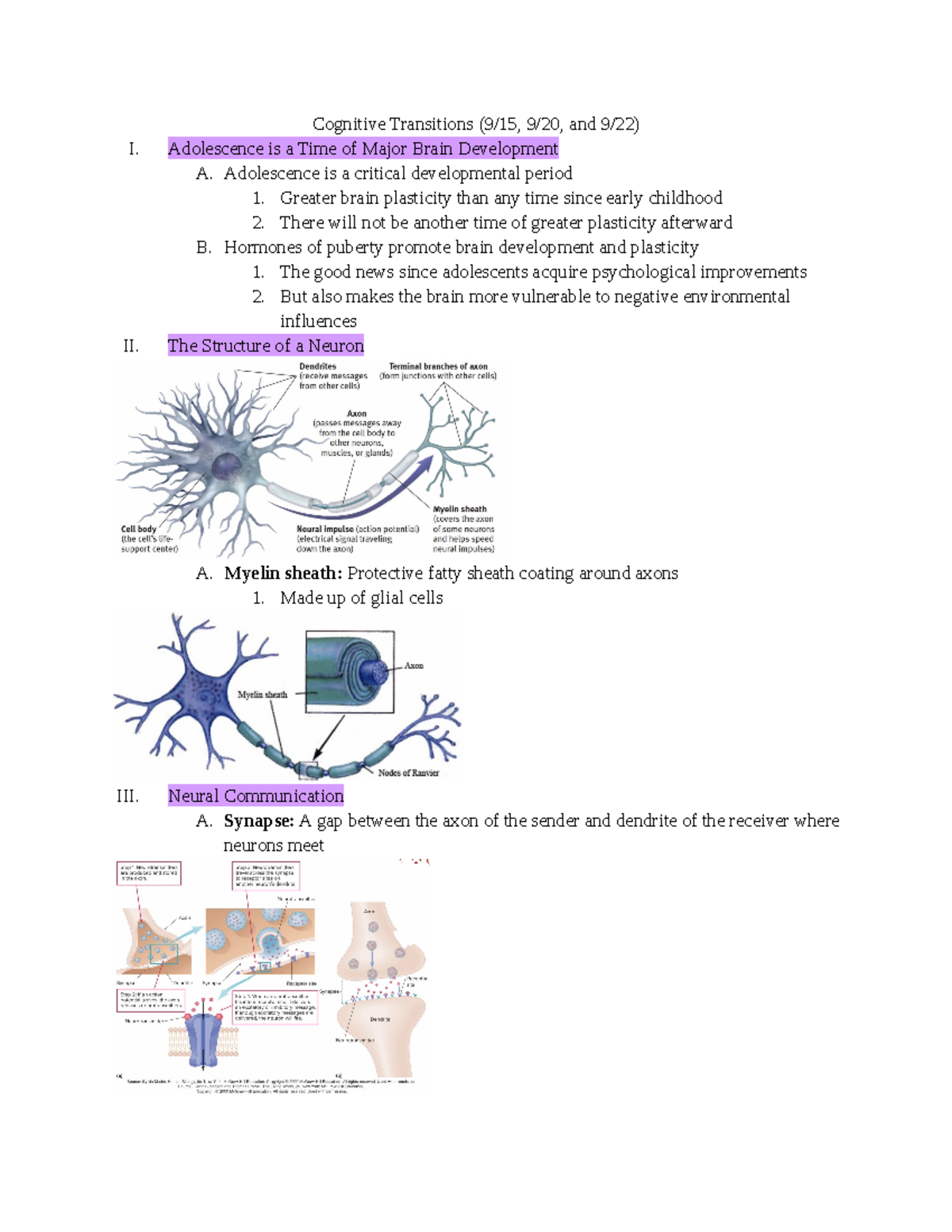 Cognitive Transitions - Adolescence Is A Time Of Major Brain 