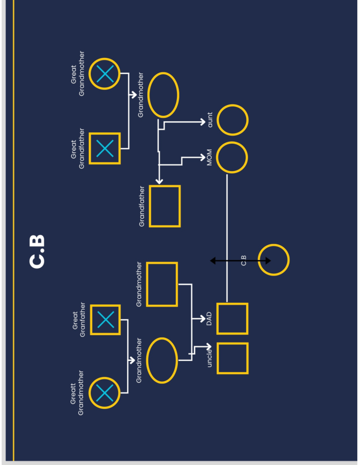 CB for HA - Sample of genogram - BIOL 110 - C Greatt Great Great Great ...