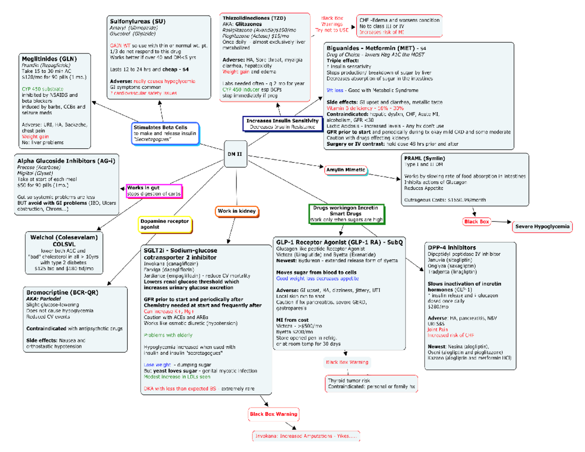 Diabetic medications - BIOL 4130 - Studocu