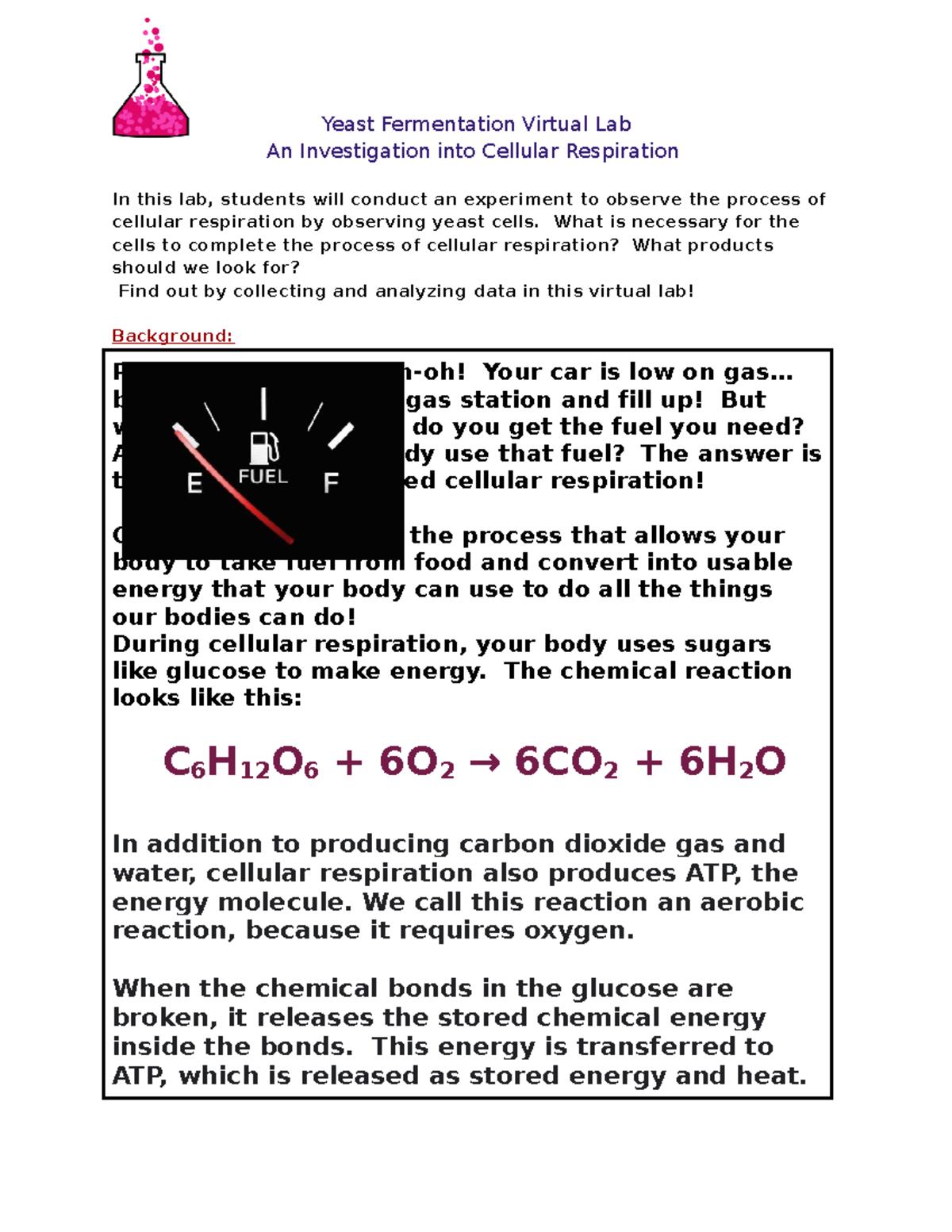 Cellular Respiration Virtual Laband Guided Reading1 Yeast
