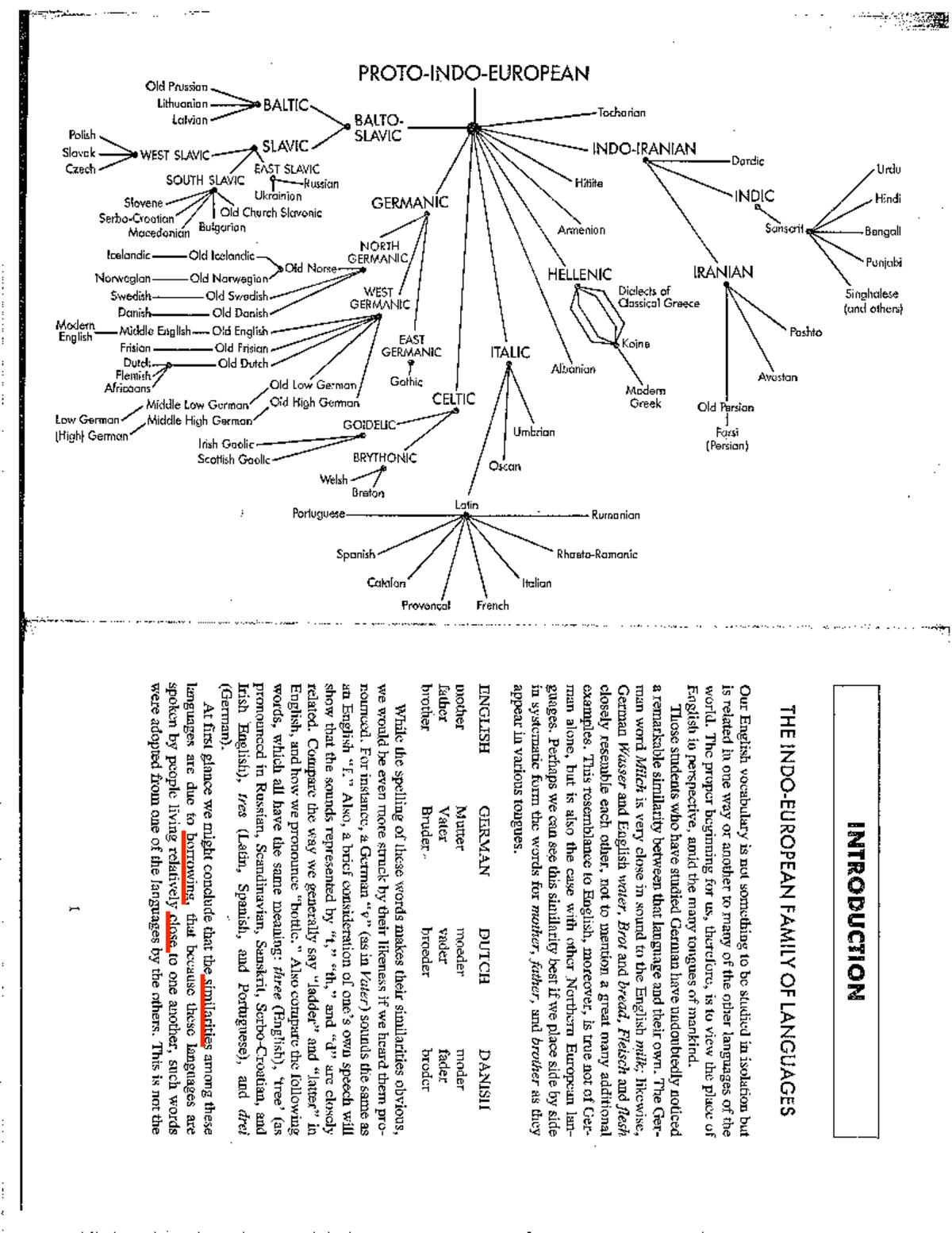 Ayers Week One - History of cognates in English language - ENG 101 ...