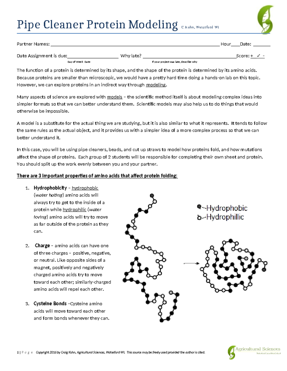 2016 pipe cleaner protein modeling Pipe Cleaner Protein Modeling C