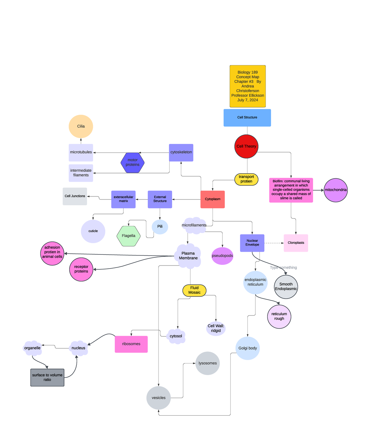 Chp #3 Concept Map Cells Structure and its relation - Cell Structure ...