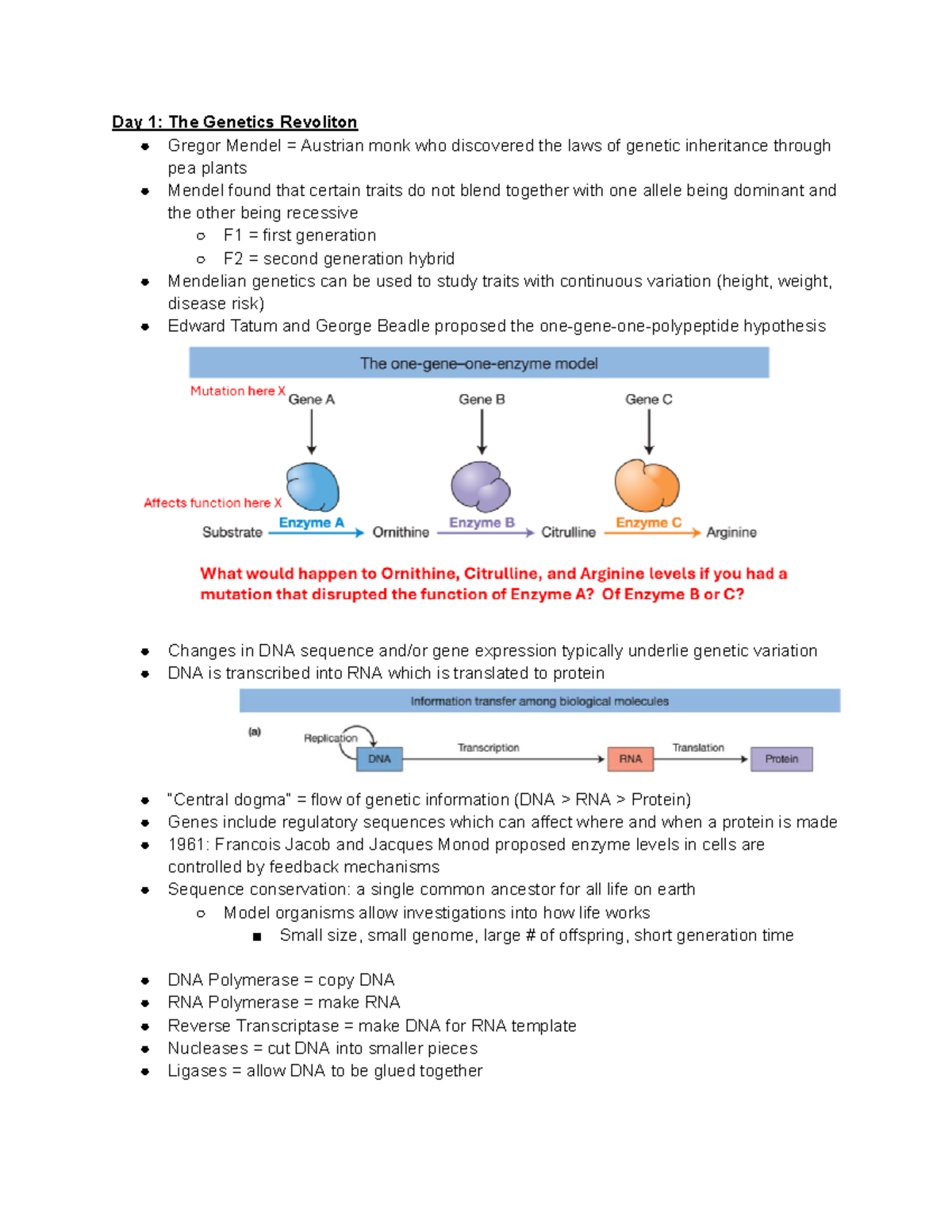 Decoding The Austrian Look: Genetics And Regional Variations - kwnf96g