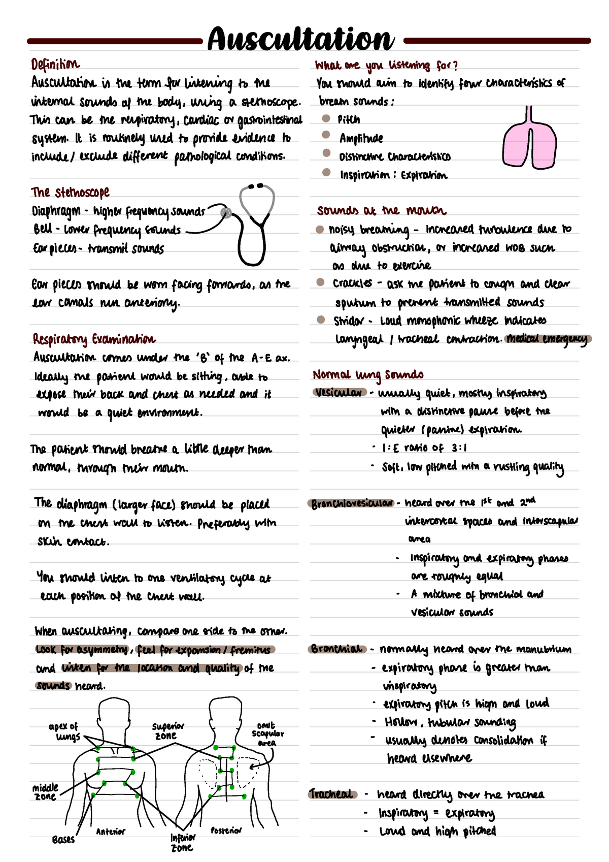 Auscultation And Lung Sounds - Auscultation Definition what are you ...