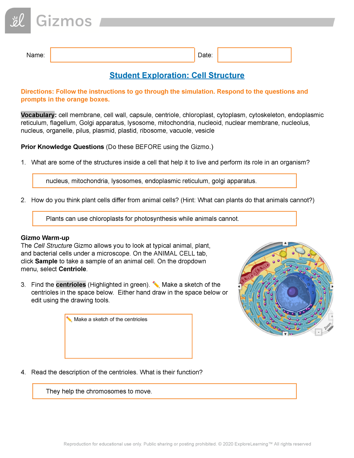 Cell Structure SE - Gizmo - Name: Date: Student Exploration: Cell ...