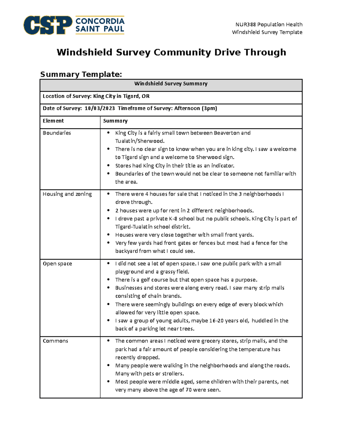 Windshield Survey Summary Template Windshield Survey Template