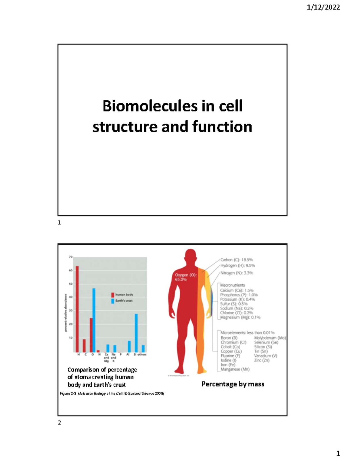 Lecture 3 Notes Biomolecules in cell structure and function