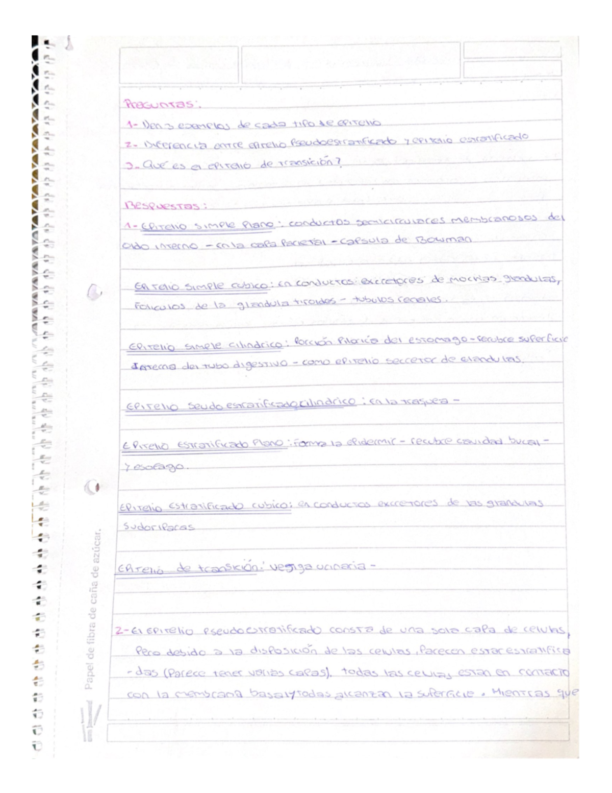 Preguntas histologia - Trabajo práctico - Progunras 1)en3 examples de ...