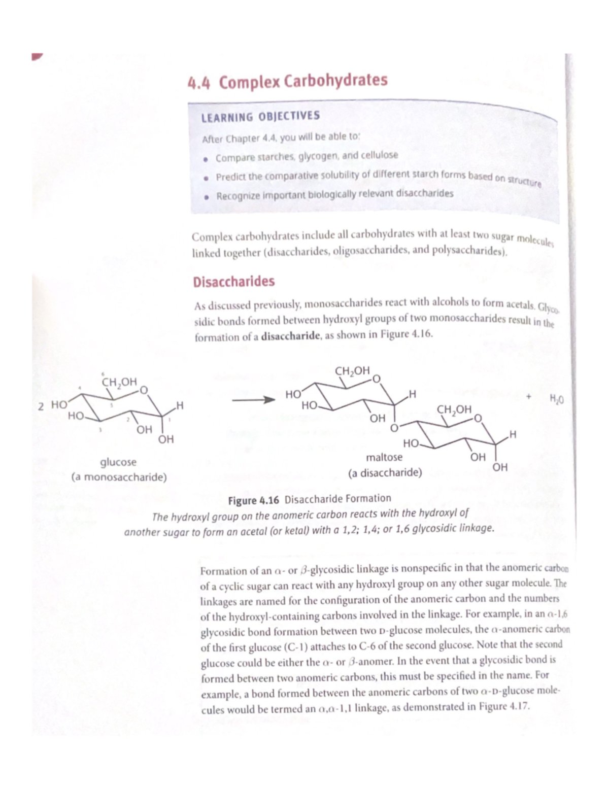Complex Carbohydrates CHEM 4033 Studocu