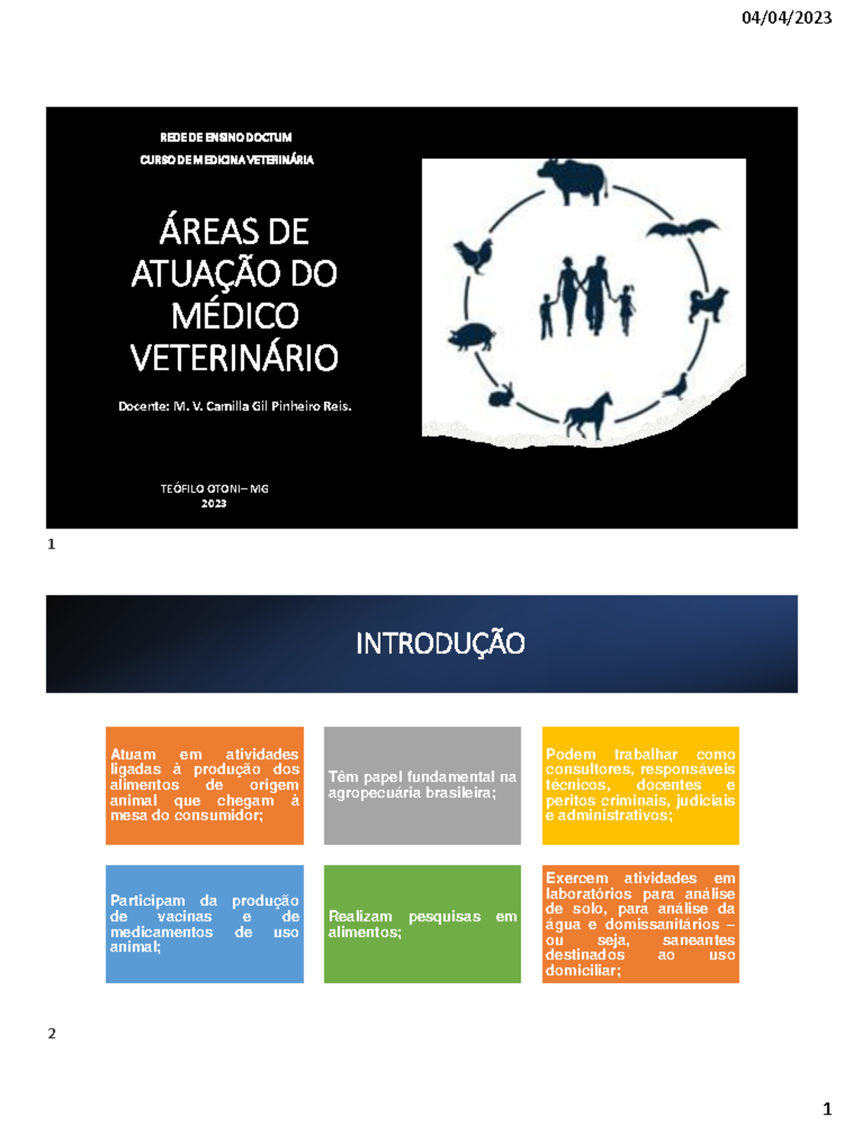 Areas DE Atuação DO MV - ÁREAS DE ATUAÇÃO DO MÉDICO VETERINÁRIO REDE DE ...