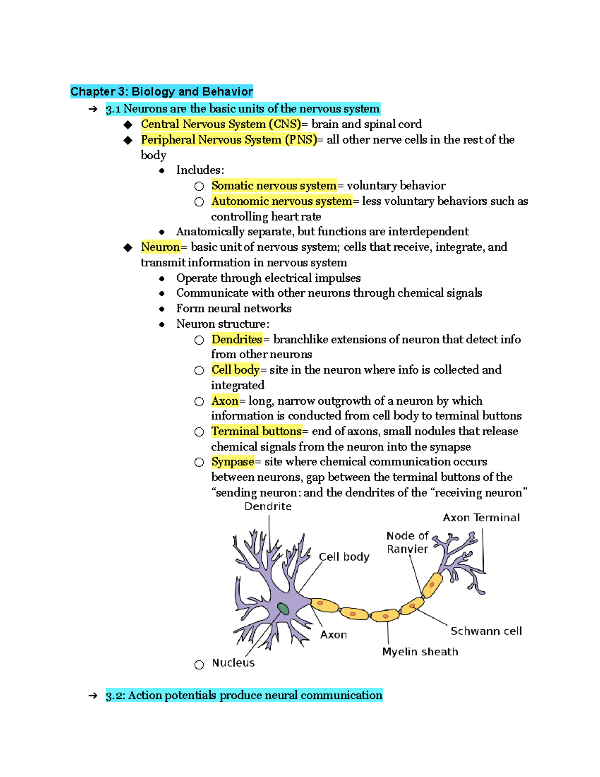 PSYC 0001 Chapter 3 - Gherman - Chapter 3: Biology And Behavior 3 ...