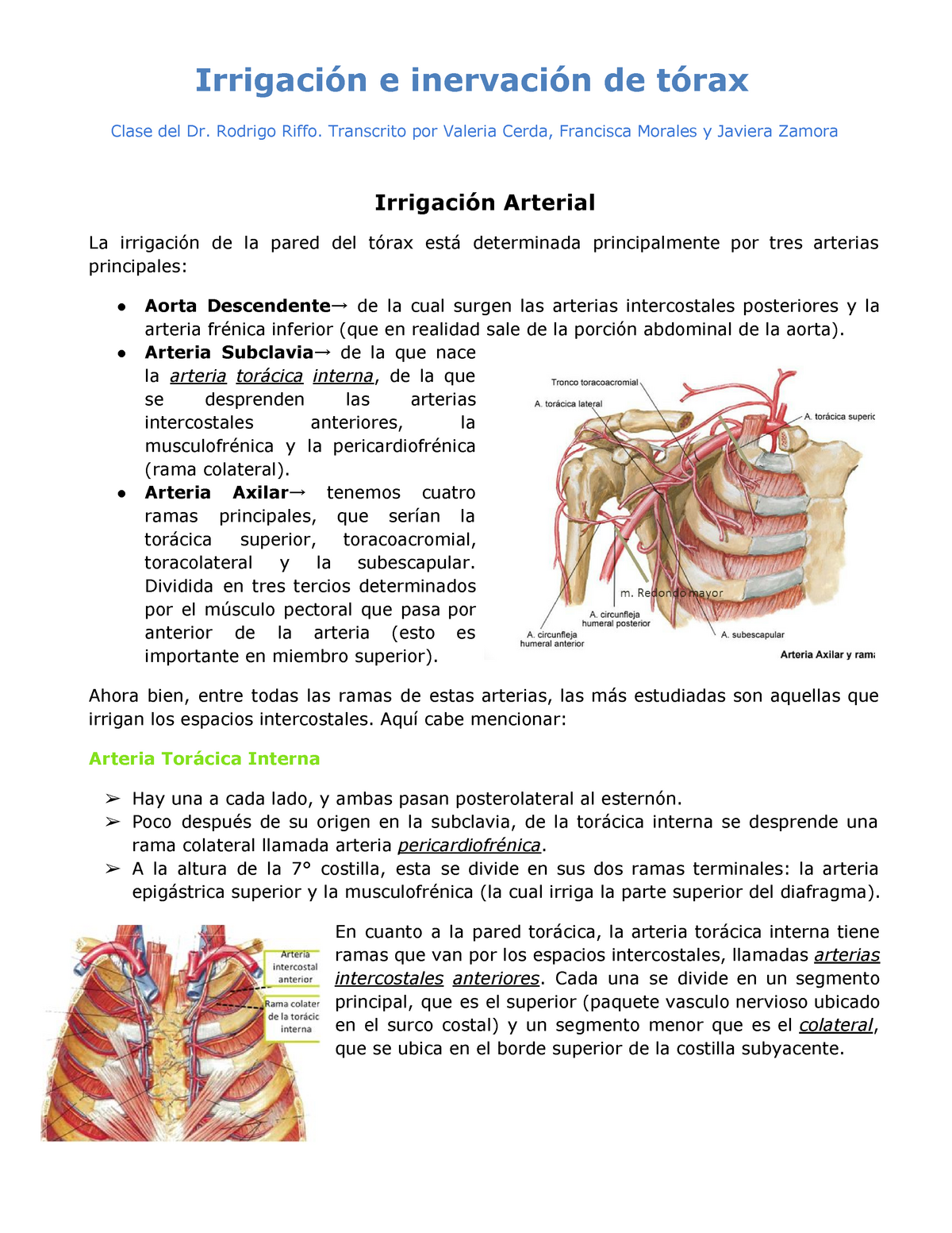 arterias intercostales anteriores