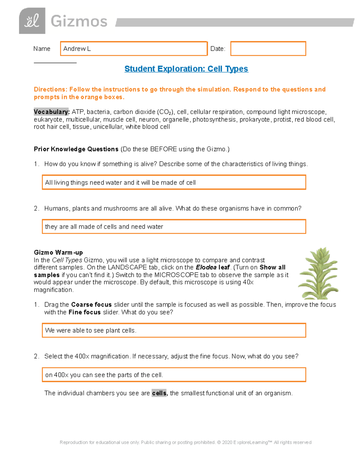 Andrew Lesnick - E - Cell Types Gizmo - Name Andrew L Date: Student ...