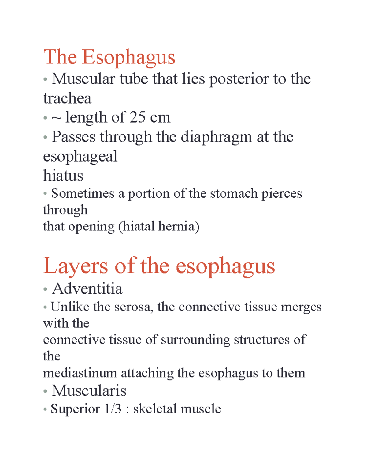 The Esophagus - The Esophagus • Muscular tube that lies posterior to ...