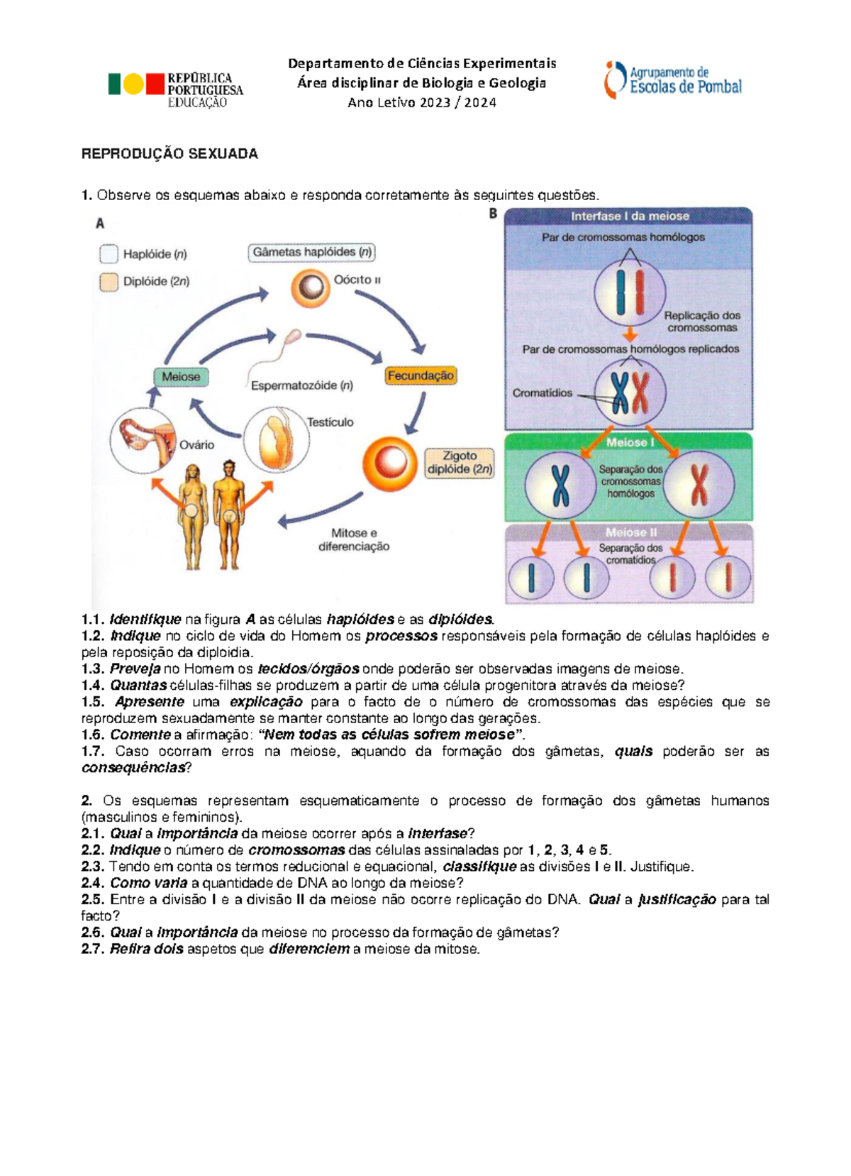 Ficha Reprodução Sexuada ReproduÇÃo Sexuada 1 Observe Os Esquemas