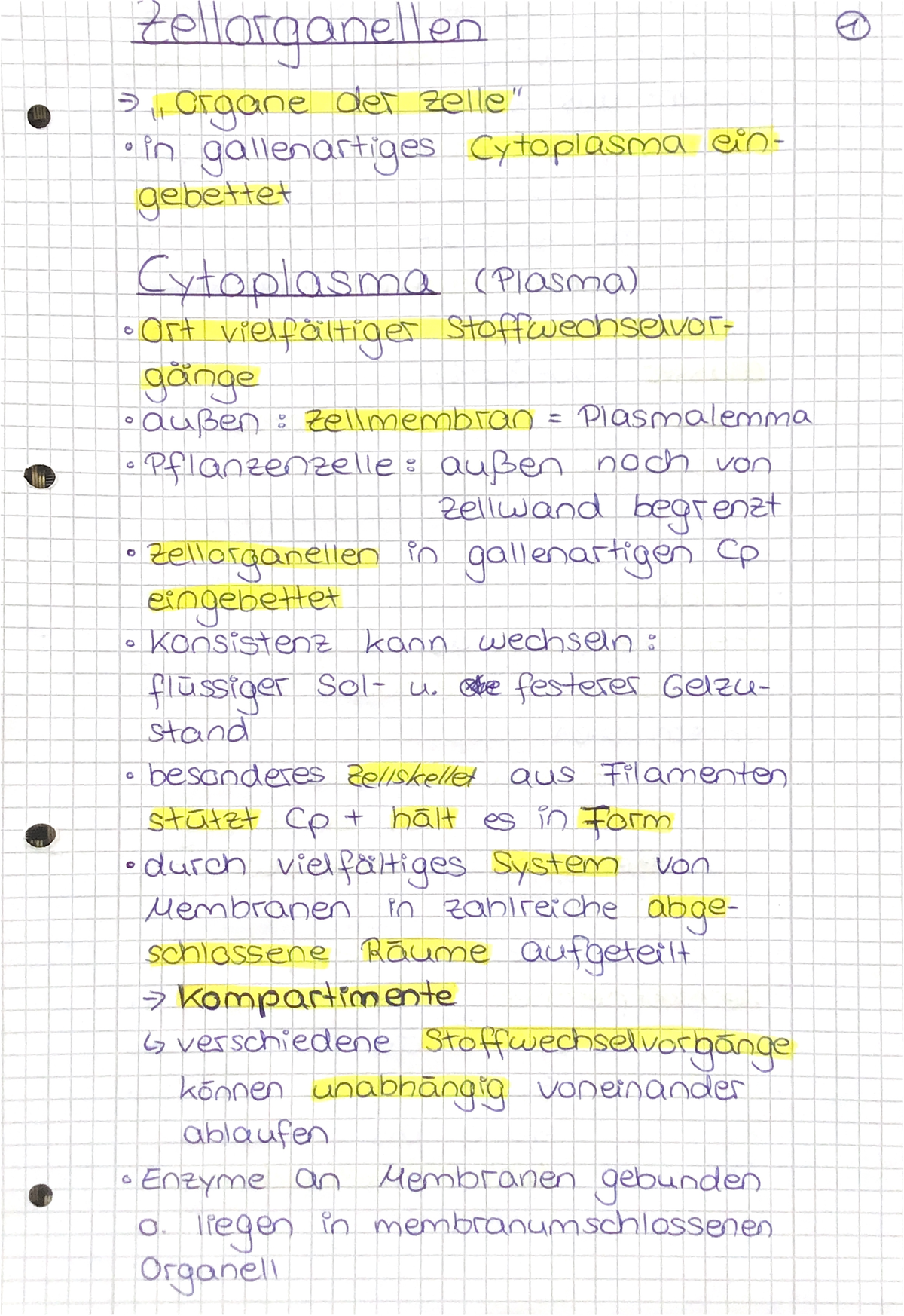 Zellbiologie - Lernzettel Zellen - Biologie - Studocu