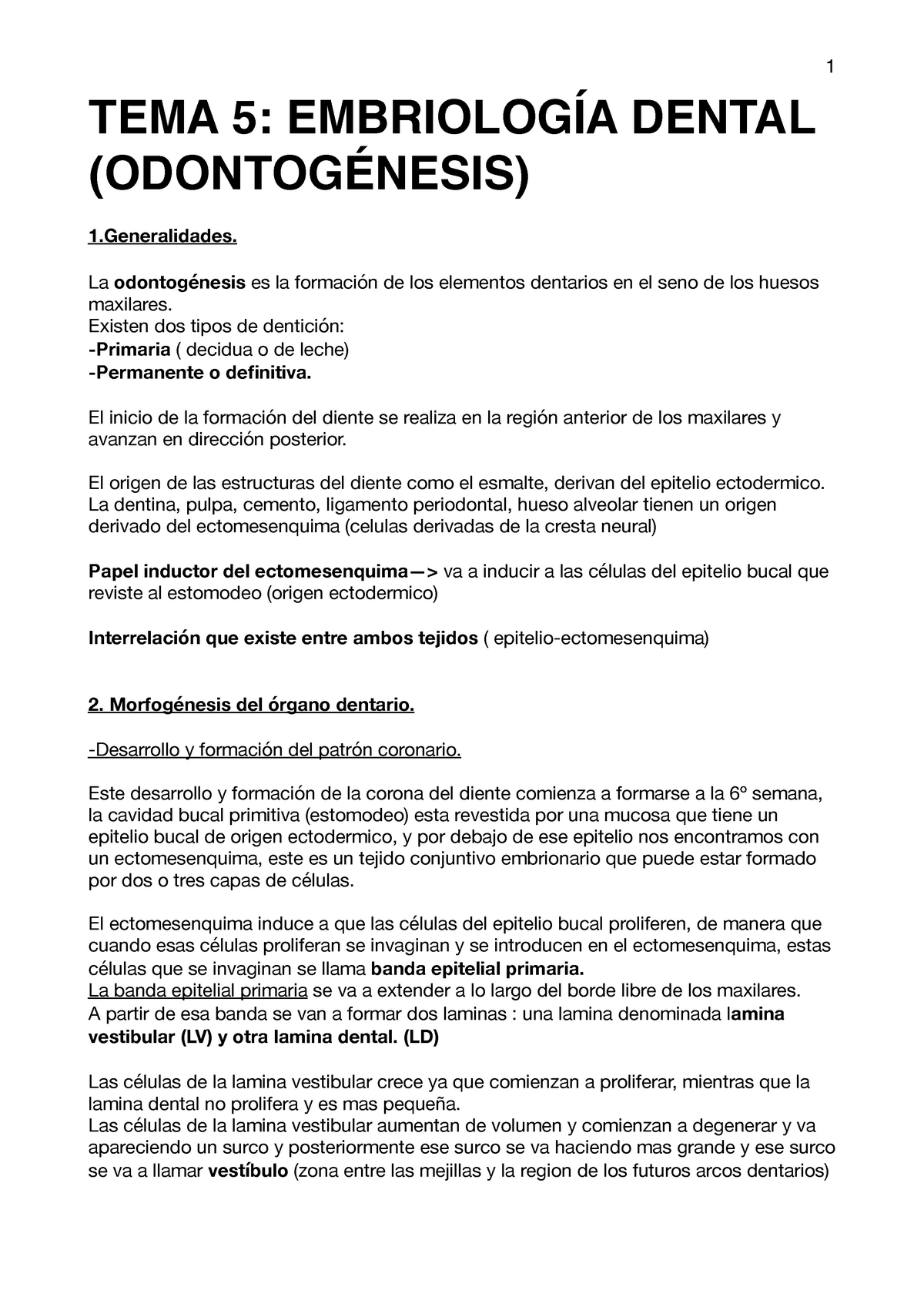 Tema 5 Embriologia - 1 TEMA 5: EMBRIOLOGÍA DENTAL (ODONTOGÉNESIS) 1. La ...