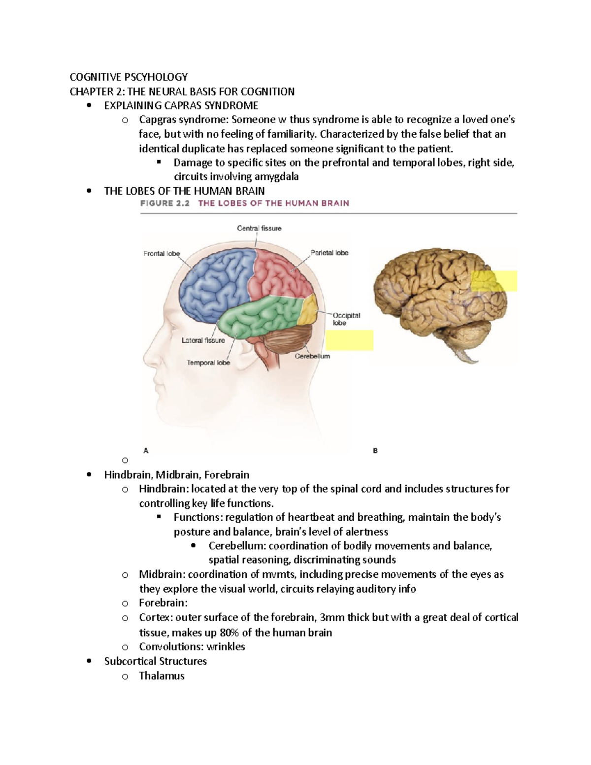 CH 2 - Chapter 2 Outline - Cognition: Exploring The Science Of The Mind ...